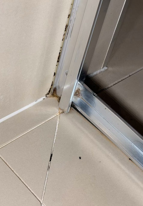 Shower Regrout before