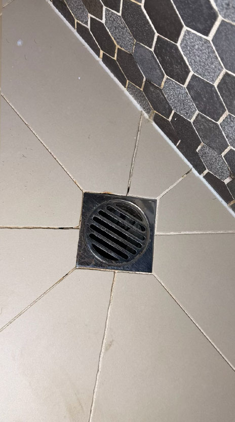 Shower Regrout before