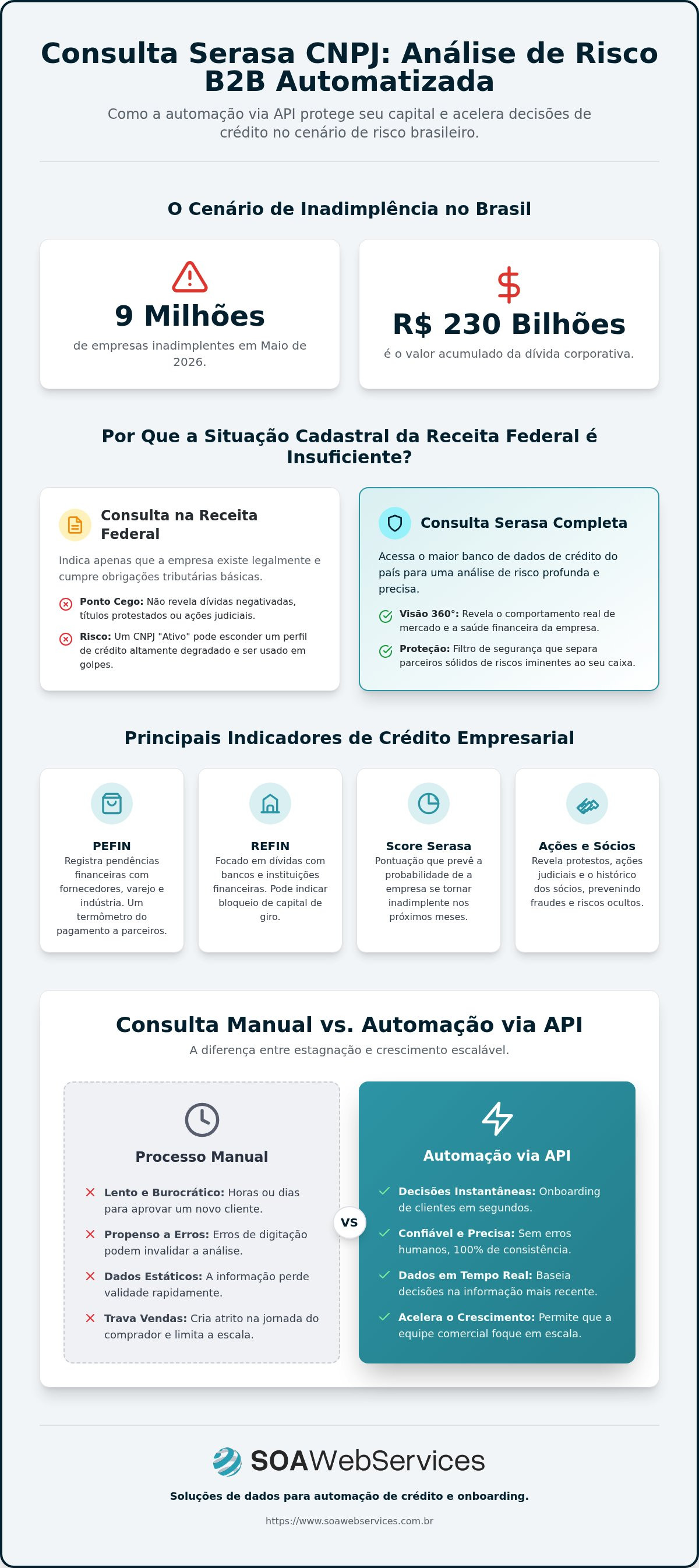 Consulta serasa cnpj