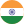 INR icon