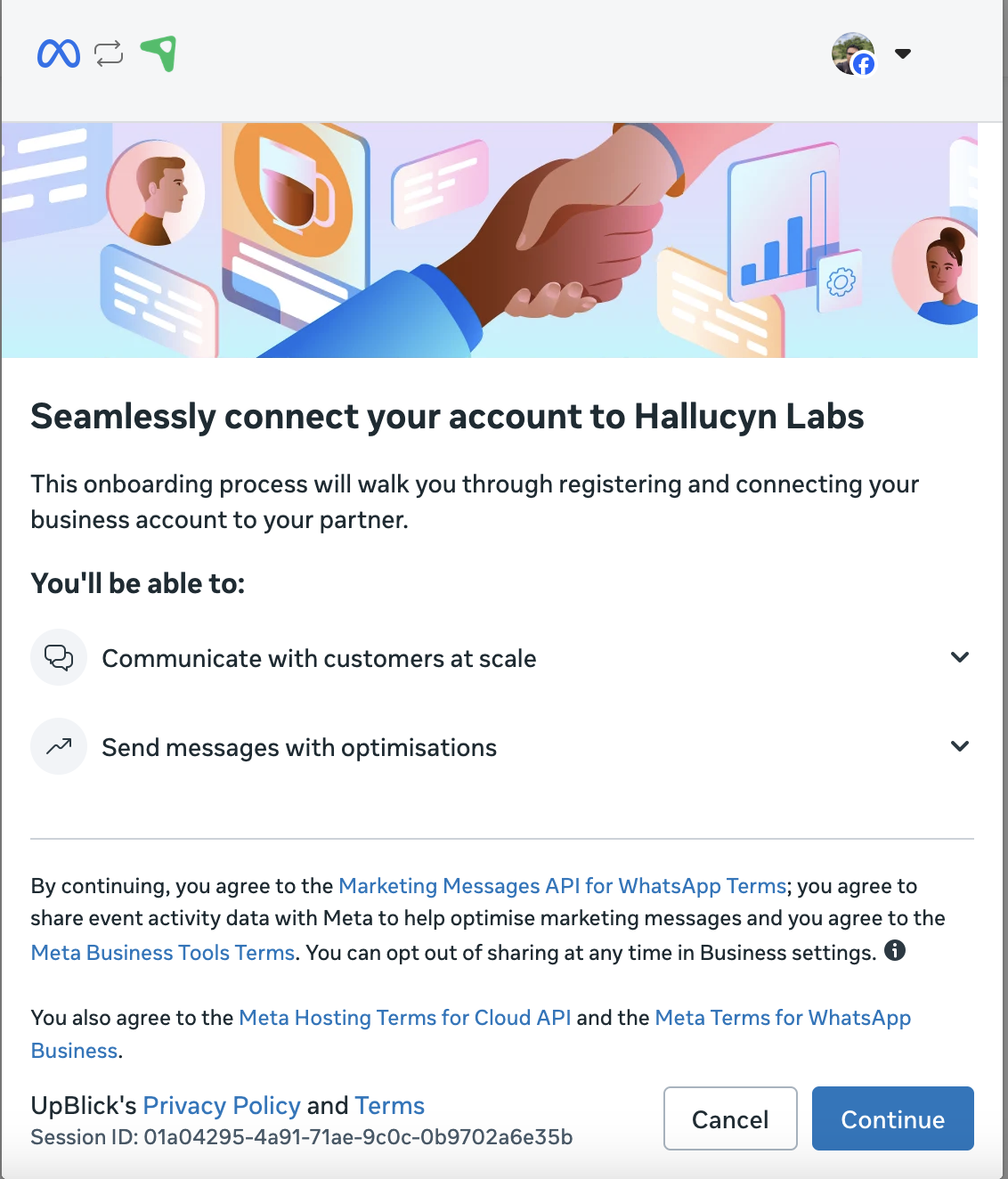 Meta onboarding screen for connecting an account to Hallucyn Labs through UpBlick