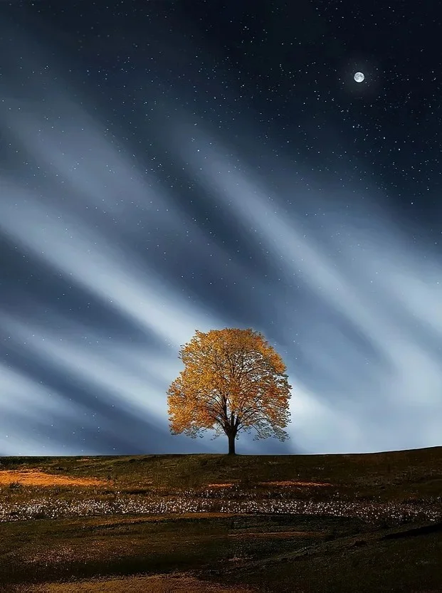 Centre for Nature and Climate