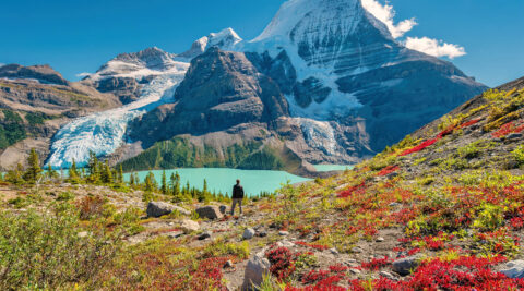 Canadian etfs 2021 knowledge center
