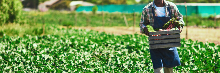 Farmer 3600x1200