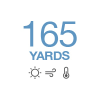 The Bigger the Better image.