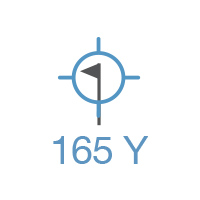 Laser Measured Number image.