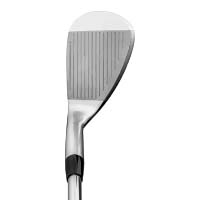 Standard Shape image.