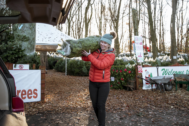 A woman in a red parka and blue winter hat carries a net-wrapped pine tree through a Christmas tree farm toward the open trunk of a car. In the background are dozens of smaller Christmas trees and two semi-obscured signs -- one with a picture of Santa Claus and the other with a welcome message in green cursive.