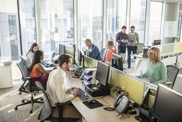 An open plan office -- instead of cubicles, the well-lit room is dominated by a table lined with computer monitors, keyboards, corded phones, and containers of miscellaneous office supples on both sides of a divider. Six people (two men and four women) are each seated at a different computer. In the background, near the floor-to-ceiling windows, two men are walking toward the work area, their eyes on a magazine or pamphlet held open by one of the men.