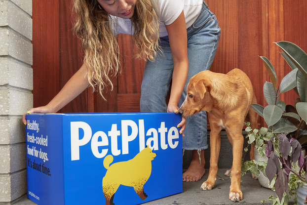 woman picking up petplate delivery from porch with dog