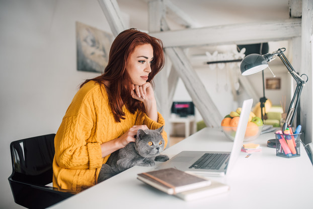A woman with a gray cat on her lap sits at a desk and looks at a laptop.