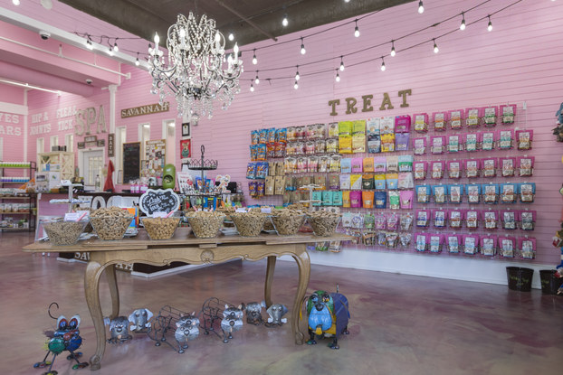 interior of Woof Gang Bakery