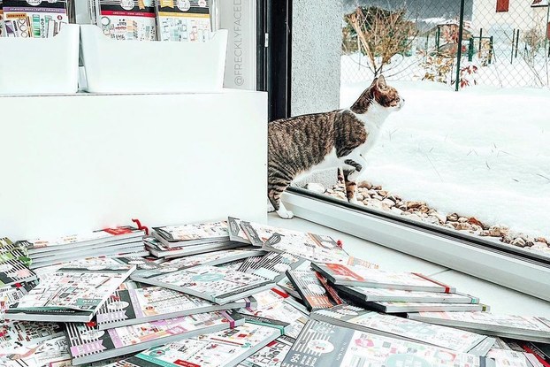 A bunch of Happy Planner notebooks piled up next to a window with a cat in an Instagram post.