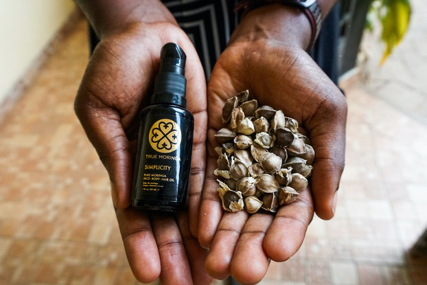 Person's hands holding True Moringa oil and moringa seeds.