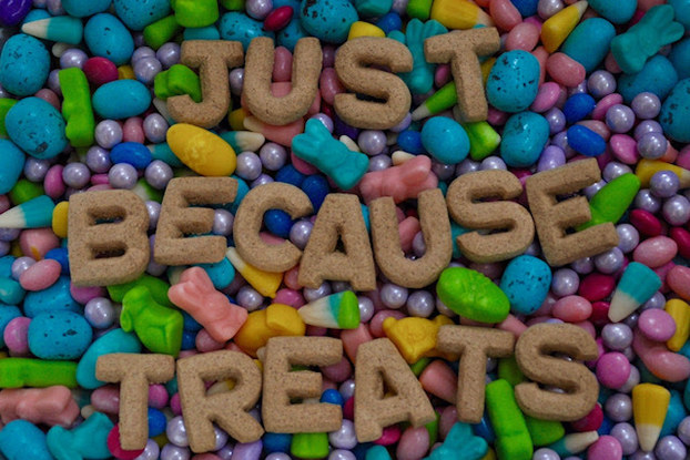 Multi-colored candy displays below letter-shaped food that spells, "Just because treats."