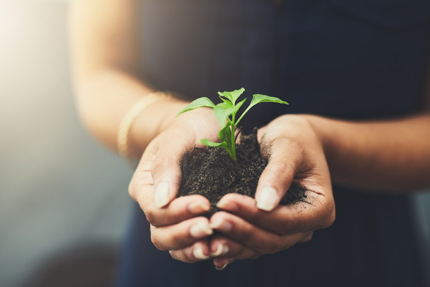 Sustainability is a growing movement.