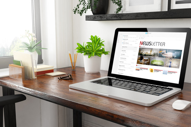 Newsletter on computer screen