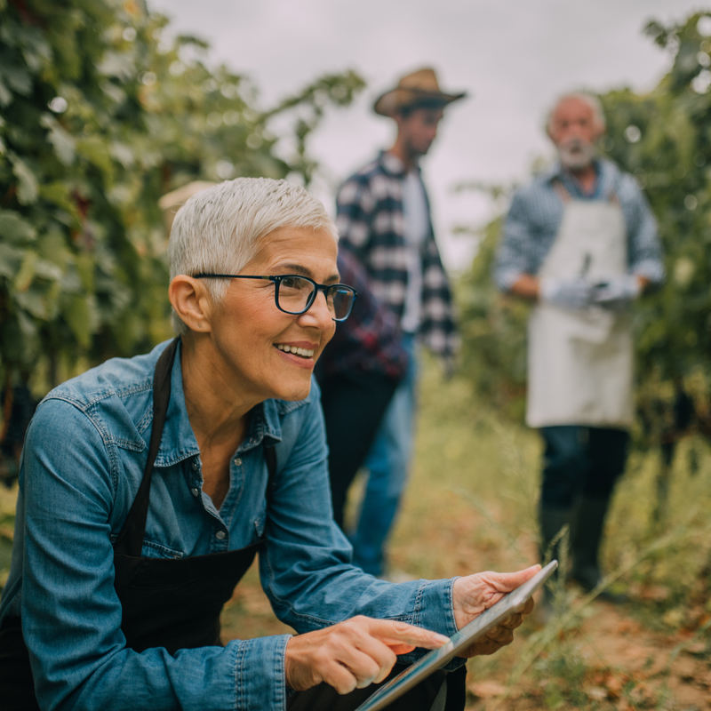Seasonal businesses can be year-round successes.