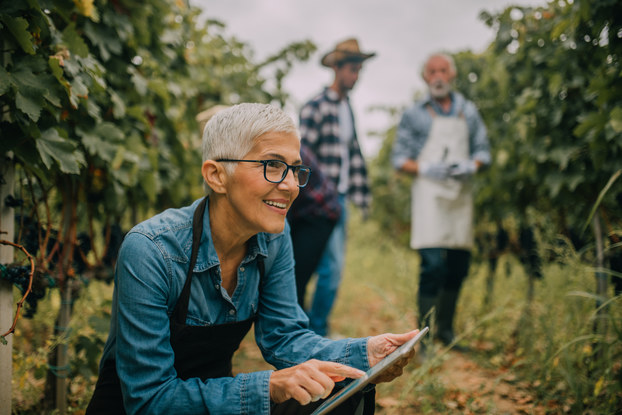 Seasonal businesses can be year-round successes.