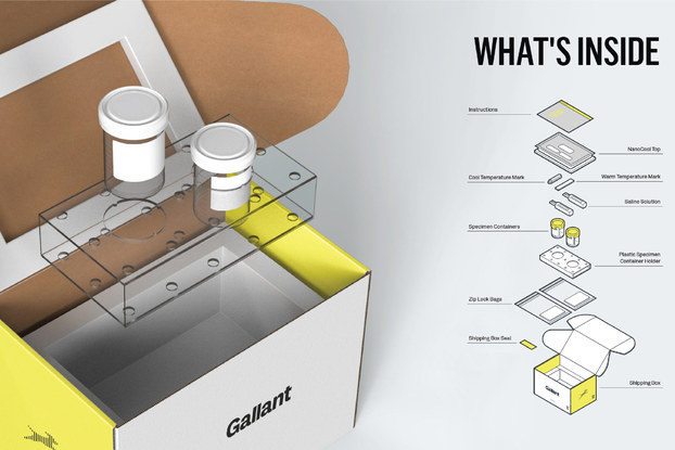 gallant pet vet kit