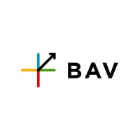 Bav Group México