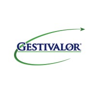 Grupo Empresarial Gestivalor Grupo Empresarial Gestivalor