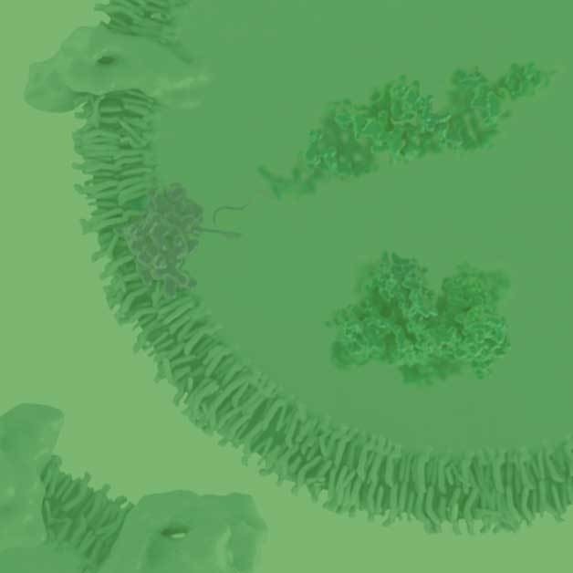 Photo of Crosslinks exosome NEW