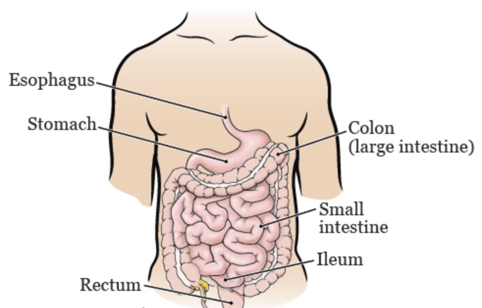 When To Take Colon Broom