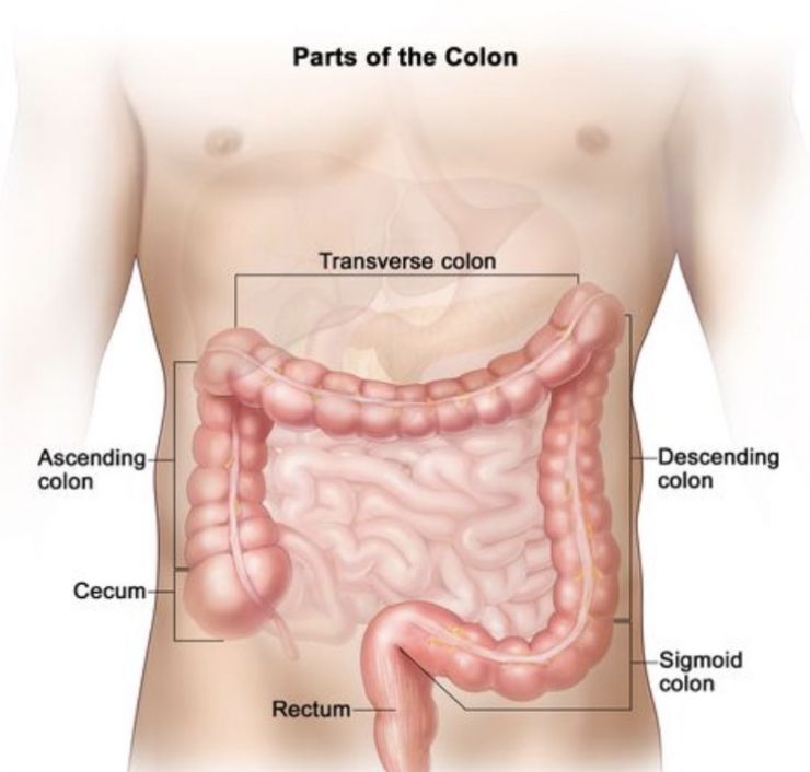 Is Colon Broom Worth The Money