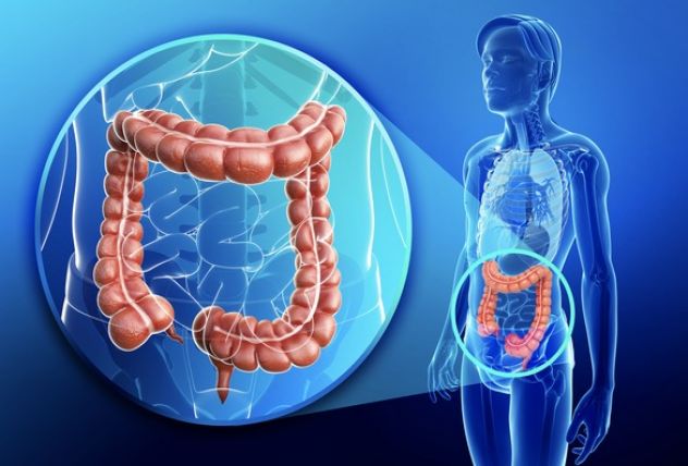 Colon Broom And Intermittent Fasting