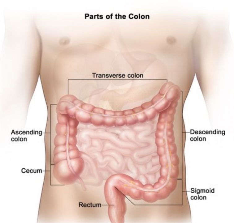 Colon Broom Powder Reviews