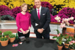 National Plant a Flower Day with Amanda Bettin