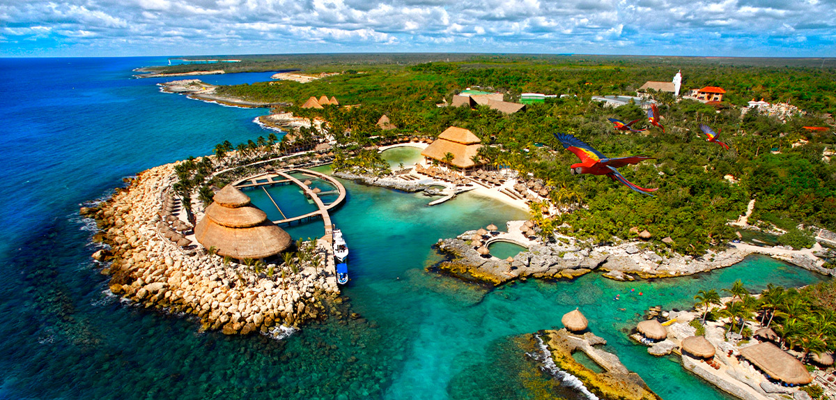 Xenses Xcaret Parque Xenses Sitio Oficial