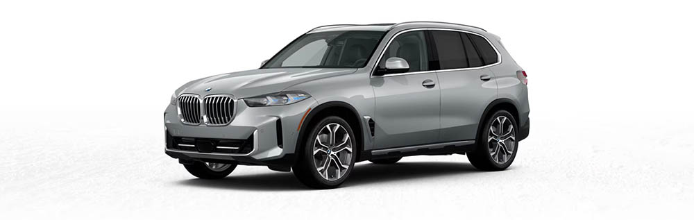 The 2025 BMW X5