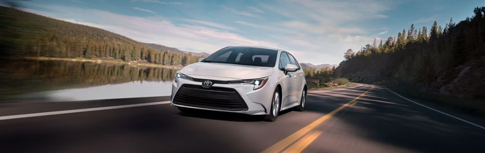 The 2025 Toyota Corolla