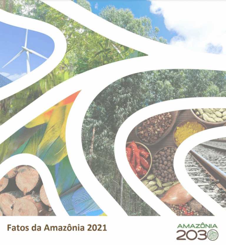 Fatos da Amazônia 2021