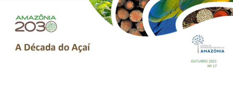 A-decada-do-acai_CS_04_11