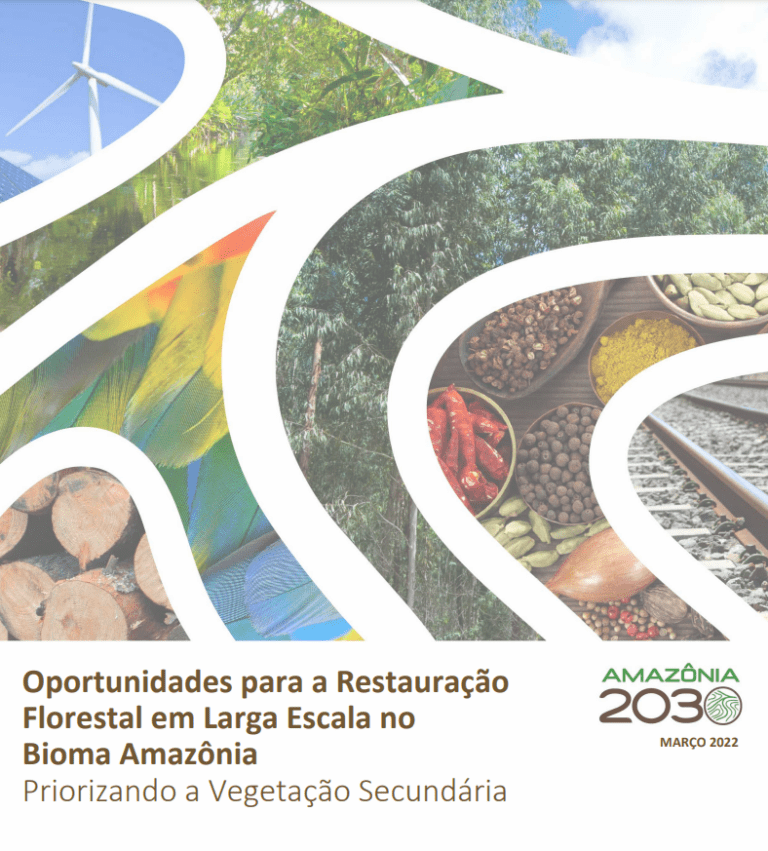 Oportunidades para restauração florestal em larga escala