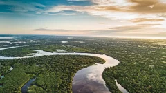 1-amazonia-greenpeace-1024x702.jpeg