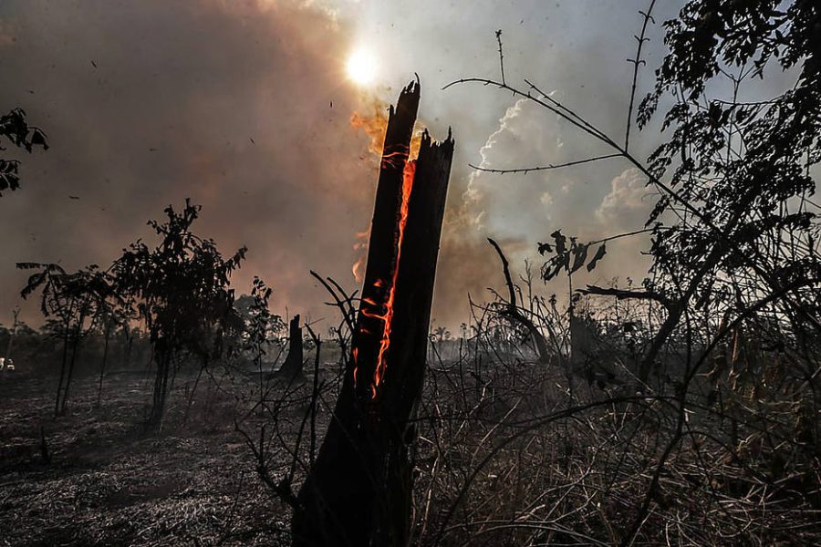 biloMatupi06.jpg   Santo Antonio do Matupi / AMAZONAS   27/08/2019  EMBARGADO POLITICA  - AMAZONAS /  QUEIMADAS / DESMATAMENTO - AMAZON DEFORESTATION    Queimada na terras do produtor  José Silva de Souza em Santo Antonio do Matupi, sul do Amazonas. O local foi atingido por um indendio provocado   FOTO GABRIELA BILO / ESTADAO
INCENDIO AMAZONIA / AMAZONAS