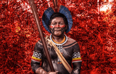 18-8-22-Exposicao-sobre-Amazonia-Edu-Simoes