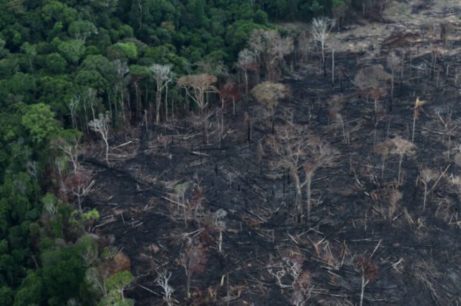 An aerial view of a tract of Amazon jungle after it was cleared by farmers in Itaituba, Para, Brazil September 26, 2019.  Picture taken September 26, 2019. REUTERS/Ricardo Moraes - RC2WDD9MVRJP