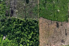 2023-01-20t024203z-56720984-rc2tty95dmys-rtrmadp-3-brazil-environment