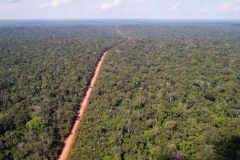 93181189-pa-santo-antonio-do-matupi-am-02-06-2021-especial-amazonia-floresta-amazonica-proximo-a