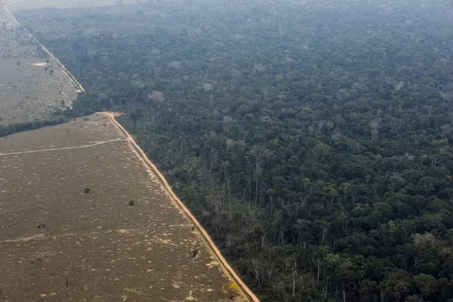 95328631-porto-velho-ro-17-09-2021-desmatamento-e-queimadas-na-floresta-amazonica.-foto-edilso