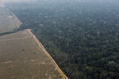 95328631-porto-velho-ro-17-09-2021-desmatamento-e-queimadas-na-floresta-amazonica.-foto-edilso
