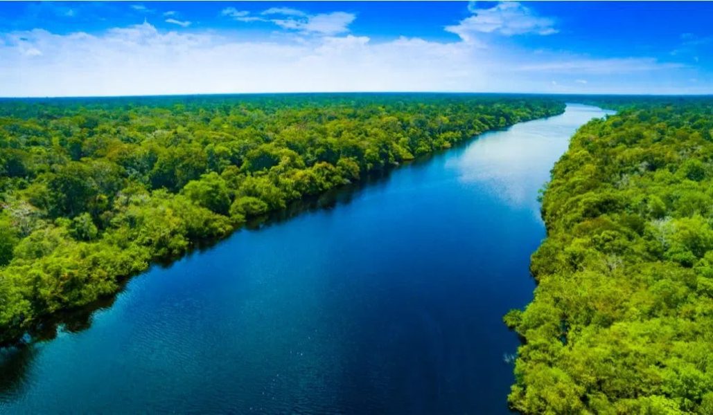 Amazonia-floresta-1024x597-1