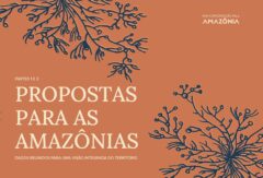 Capa Propostas para as Amazônias - Dados Reunidos