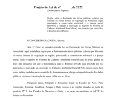 Captura-de-tela-de-2022-12-07-20-44-47