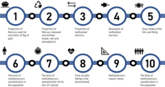 Economic Impacts on Human Health Resulting from the Use of Mercury in the Illegal Gold